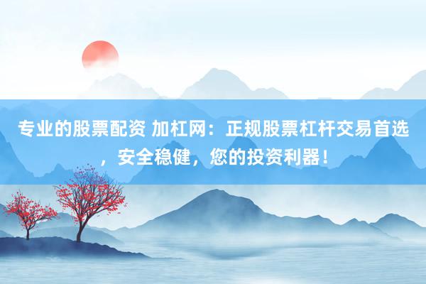 专业的股票配资 加杠网：正规股票杠杆交易首选，安全稳健，您的投资利器！