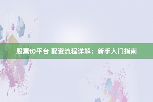 股票t0平台 配资流程详解：新手入门指南