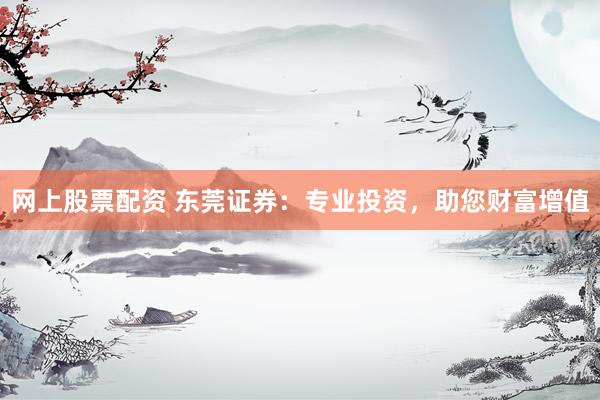 网上股票配资 东莞证券：专业投资，助您财富增值