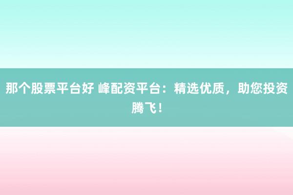 那个股票平台好 峰配资平台：精选优质，助您投资腾飞！