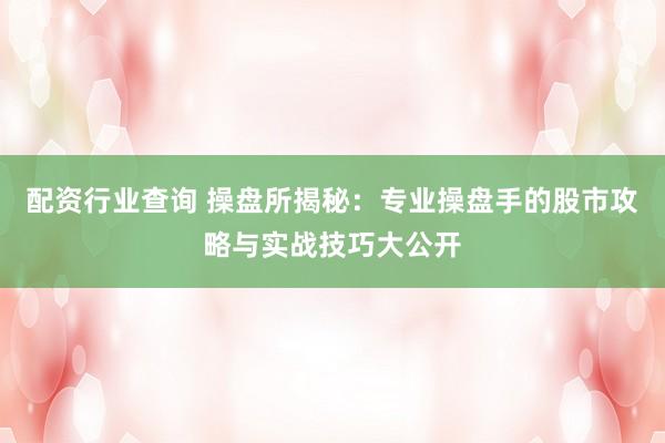 配资行业查询 操盘所揭秘：专业操盘手的股市攻略与实战技巧大公开